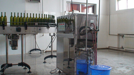 葡萄酒灌装前酒瓶消毒(臭氧 / 高温)工艺