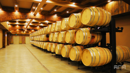 葡萄酒稳定处理后储存(低温 / 避光)工艺