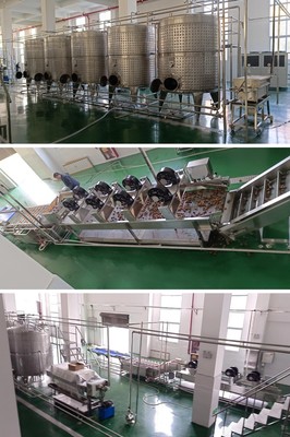 葡萄酒运输车辆(清洁 / 消毒)工艺