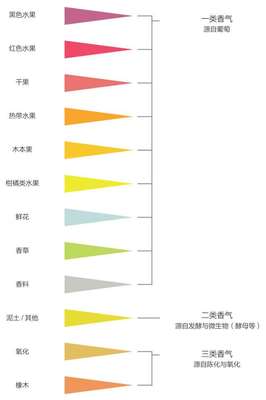 观色环节与后续闻香、品味的关联常识