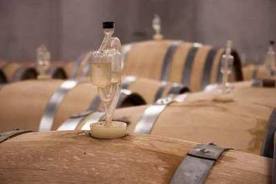 下胶后葡萄酒静置(絮凝沉淀)时间与温度调控工艺