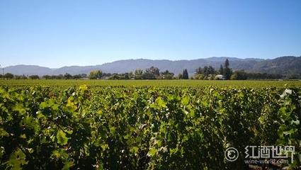 是什么让葡萄酒产区风土独一无二?