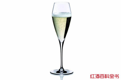 起泡葡萄酒气泡持续性(持久 / 短暂)判断常识