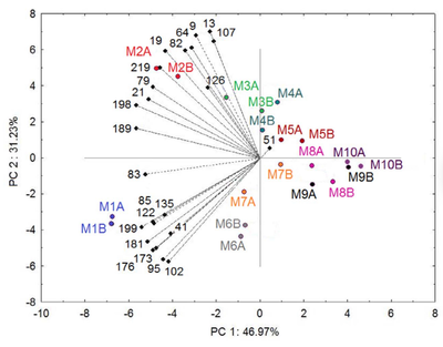 葡萄酒香气物质(气相色谱 - 嗅闻法)分析工艺