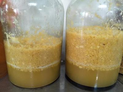 发酵结束后酒液初步澄清(静置沉淀)工艺