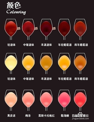 白葡萄酒颜色与年份（年轻淡黄 / 年老金黄）关联常识