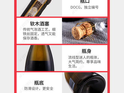 起泡葡萄酒 Transfer 法(转瓶法)工艺步骤设计