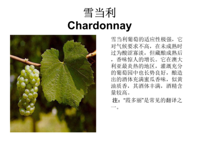 葡萄酒适应气候变化种植工艺(品种改良 / 区域调整)