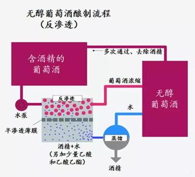 无醇葡萄酒真空蒸馏(温度 / 真空度)控制工艺