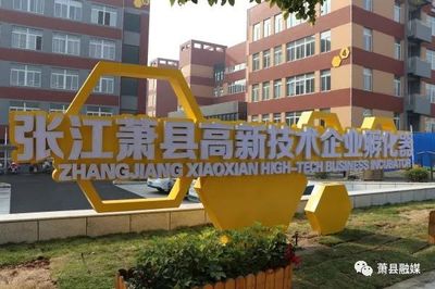 葡萄酒品牌渠道推广:优化渠道布局,提升品牌可达性