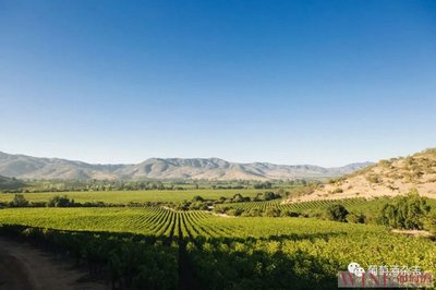 葡萄酒产区风土,背后有何故事?