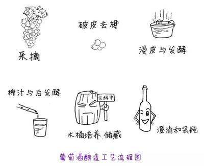 葡萄酒工艺流程图CAD