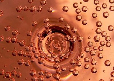 起泡葡萄酒酵母自溶程度(感官 / 化学)检测工艺