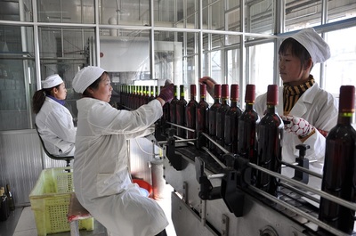 葡萄酒工艺创新(新技术 / 新工艺)研发工艺