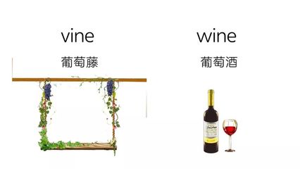 记忆葡萄酒典型特征的技巧(联想记忆法)常识