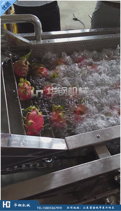 葡萄接收后快速清洗(高压喷淋 / 气泡清洗)工艺