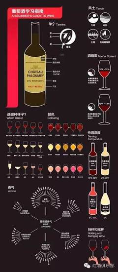 对比品鉴(同一品种不同产区 / 同一产区不同品种)的学习方法常识