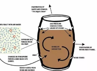 葡萄酒微生物对风味(酵母衍生物 / 细菌代谢物)贡献工艺