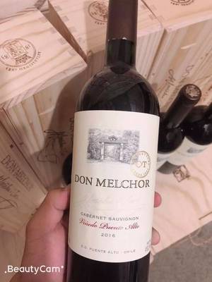 干露魔爵酒庄（Don Melchor）