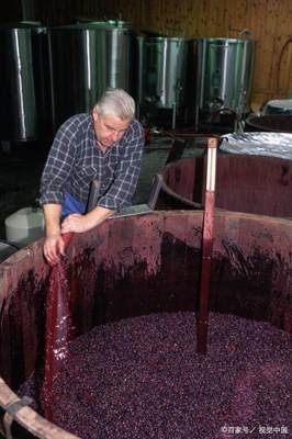 白葡萄酒发酵前果汁澄清(自然澄清 / 离心澄清)工艺