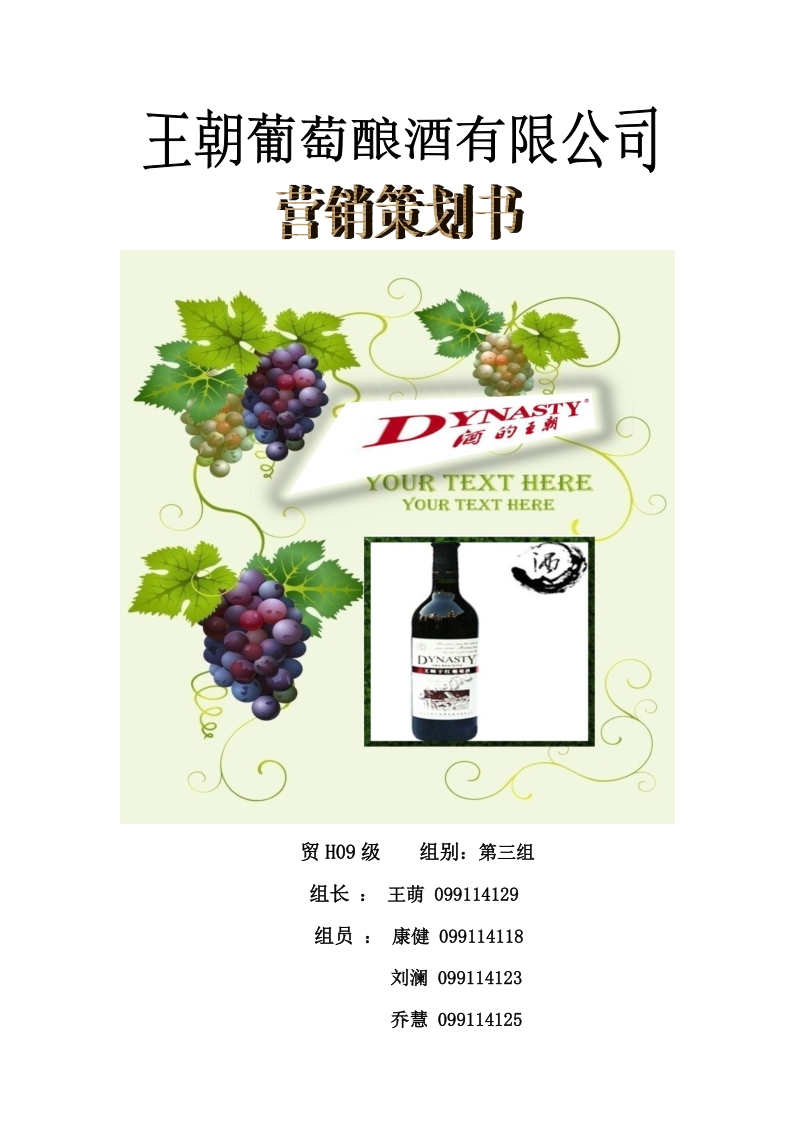 葡萄酒营销策划书完整版
