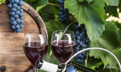 为什么喝红酒会鼻子塞住