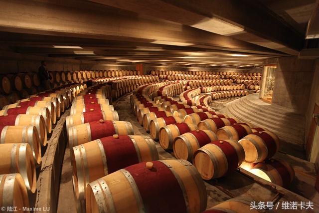 酒庄参观品酒的注意事项（听从引导 / 尊重工艺）常识