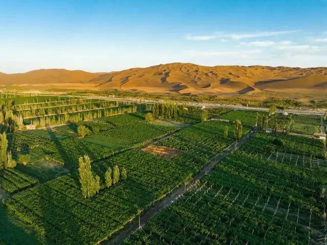 甘肃西域阳光酒庄