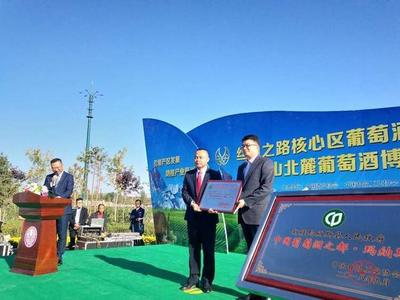 葡萄酒工艺与演出文化（葡萄酒主题演出 / 品鉴活动）结合工艺