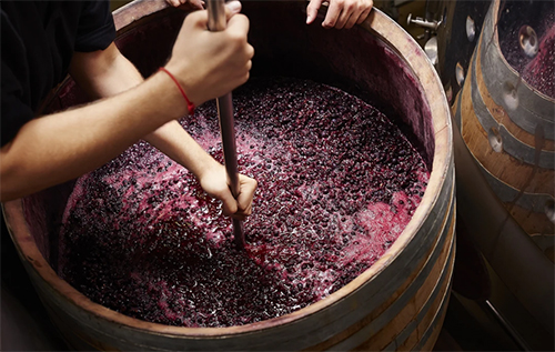 生物动力葡萄酒原料（生物动力种植）验收工艺