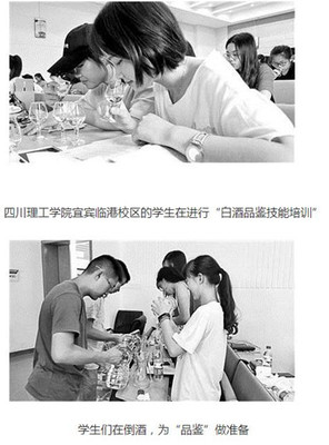 多人品酒的组织方式(轮流倒酒 / 集体评价)常识