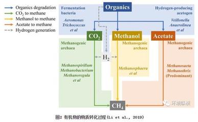 发酵过程中挥发性酸(乙酸)控制工艺