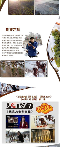 冰酒工艺(全流程)标准化工艺