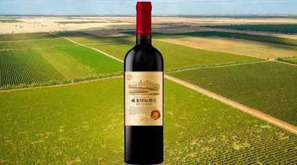 龙湖威龙国际酒庄