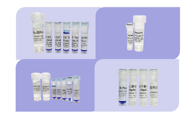 葡萄酒灌装前微生物(酵母 / 细菌)分离培养工艺
