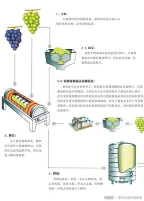 葡萄酒加强葡萄酒新型生产技术（新型酒精添加）应用工艺
