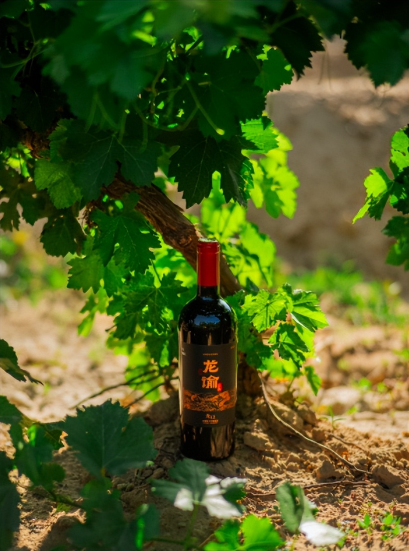 单一园葡萄酒营销:突出风土特色,打造高端形象