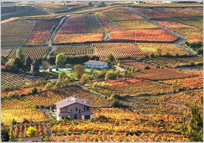 领略葡萄酒产区风土,品味自然杰作