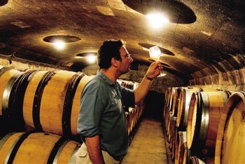 葡萄酒产区风土,酿造时光的味道