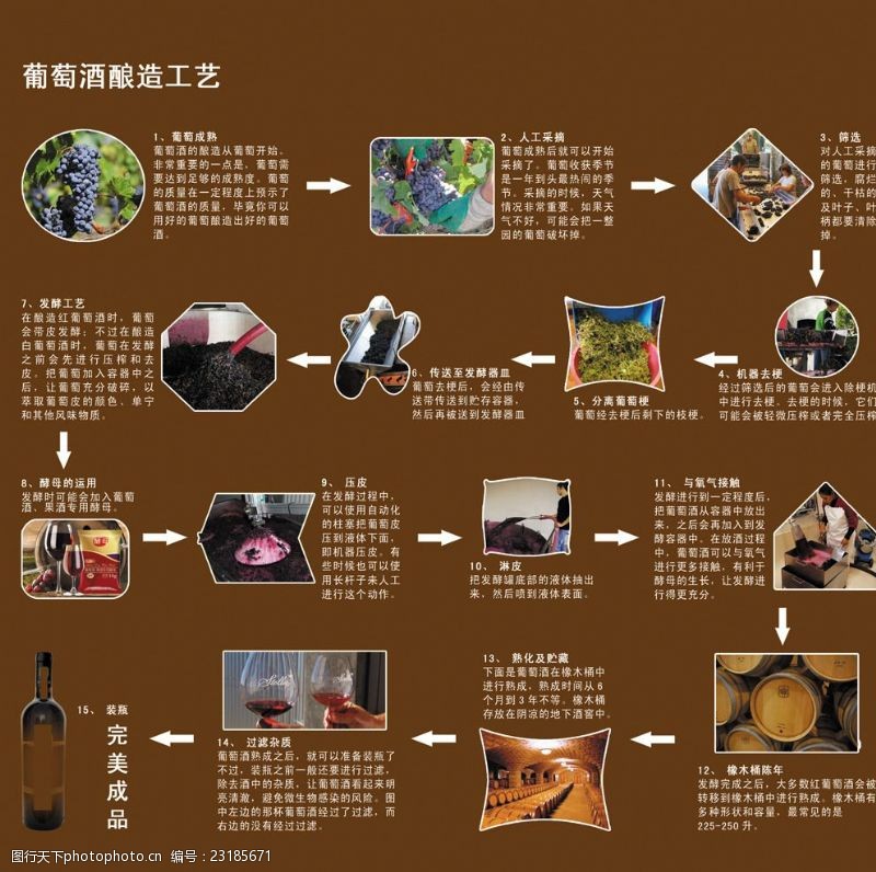 葡萄酒工艺流程图怎么画