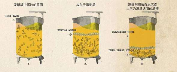 葡萄酒澄清稳定工艺成本(耗材 / 能耗)控制工艺