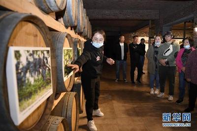 葡萄酒工艺与旅游文化(酒庄旅游 / 品鉴体验)结合工艺