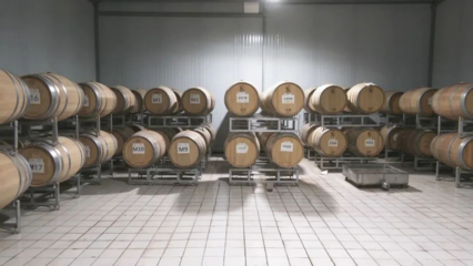 葡萄酒工艺精细化(细节管控 / 品质提升)实施工艺